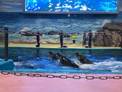 -福州罗源湾海洋世界旅游区