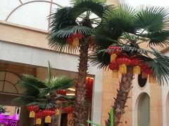 android_upload_pic-四海轩(珠海海泉湾店)