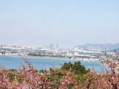 -香雪海