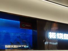 -老板恋上鱼(印象城店)