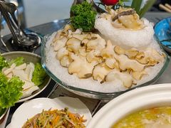 -金龙·打边炉(南京西路店)