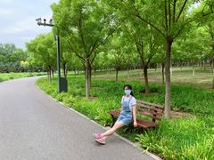 -东郊湿地公园