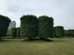 -万绿园