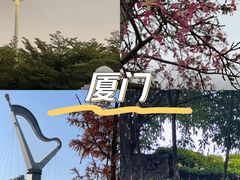 -厦门园林博览苑