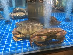 海螃蟹-七鲜超市(通州ONE店)