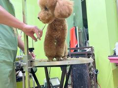 -沐沐家宠物(成寿寺店)