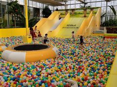 -南宫五洲植物乐园