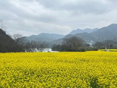 -院士公园