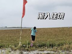 -南汇嘴观海公园