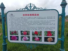 -亚龙湾国际玫瑰谷
