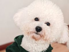 -佳雯宠物医院·皮肤科·内外科(春晓路分院)