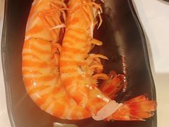 -鲜入围煮花胶鸡海鲜火锅