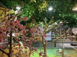 -酷嗒动物文化乐园(cutezoo西溪乐天城店)