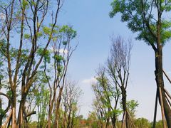 -白鹭湾湿地公园