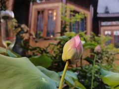 -小隐院子·庭院餐厅(大学城后湖店)