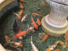 -北京新世纪饭店(动物园地铁站店)