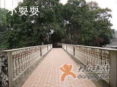 -西南政法大学(沙坪坝校区)