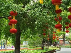 -丰台花园