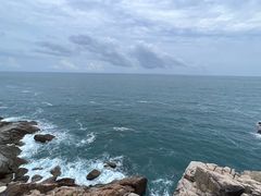 -广东惠东海龟国家级自然保护区