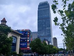 -合肥滨湖国家森林公园