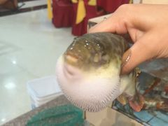 -原龙海鲜大排档(美食地标店)