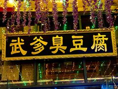 -武爹臭豆腐(坡子街店)