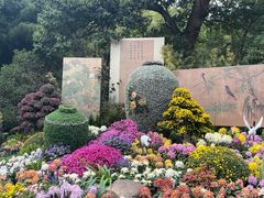 -杭州植物园