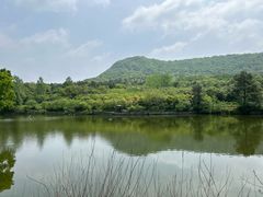 -南京老山国家森林公园