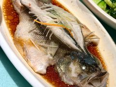 -刘胖子家常菜·蹄花焖藕(江汉路总店)