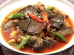 红煨甲鱼-君庭中餐馆(华强路店)