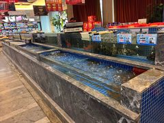 -骏莱海鲜鱼港(五角场店)