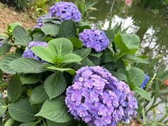 -人民公园(罗湖区)