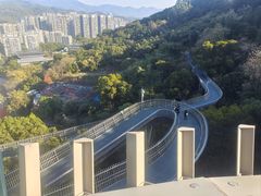 -福道