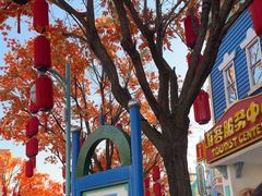 -沈阳方特欢乐世界