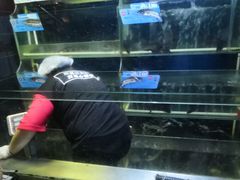 水产区-鱼酷活鱼烤鱼(南京水游城店)