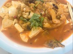 -煲来饱去冷水鱼