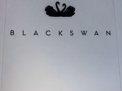 -BLACKSWAN黑天鹅(环球店)
