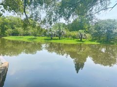 -上海共青森林公园