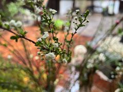 -我嘉书房(南翔名士居店)