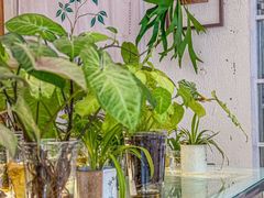 -绿小院(荔湾店)
