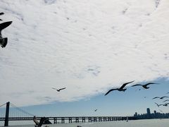 -星海湾跨海大桥
