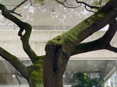 -何东旧居