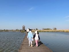 -盐城丹顶鹤湿地生态旅游区