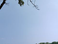 -白洋淀景区