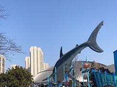 -海合安武汉极地海洋公园
