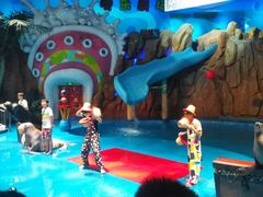 -烟台海昌鲸鲨海洋公园