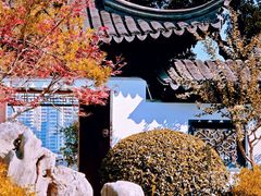 -莫愁湖公园