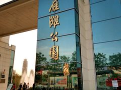 -雁滩公园