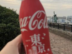 -台场海滨公园船码头