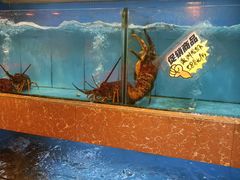 水产区-德兴海鲜渔港(辉煌大厦店)